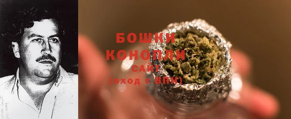крисы Богородицк