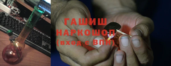 крисы Богородицк