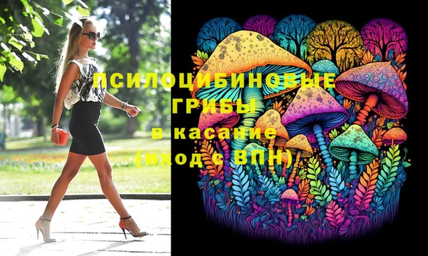 крисы Богородицк