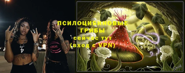 крисы Богородицк