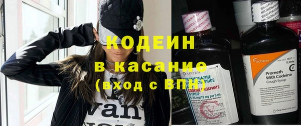 крисы Богородицк