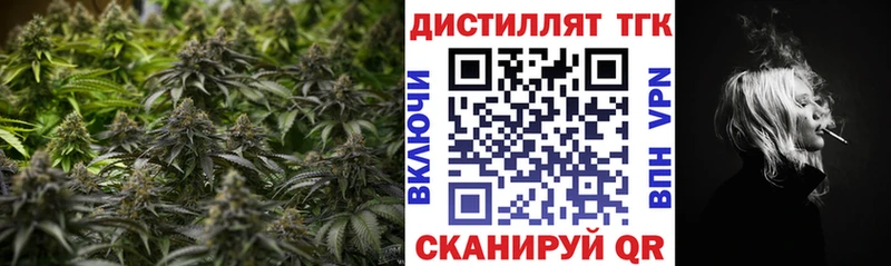 ТГК концентрат  Купить  Сунжа 
