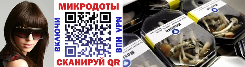 Купить где  Сунжа  Галлюциногенные грибы Cubensis 